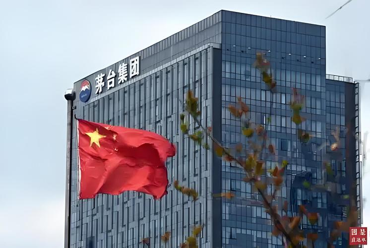 1772510603972328.jpeg c3e9326b10f355a67ccbd6a2973413f7.jpeg